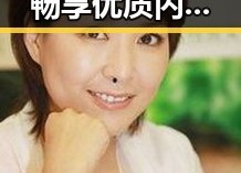 快猫官方版：畅享优质内容的最佳选择