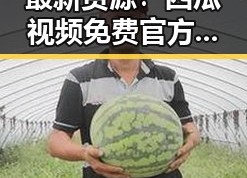 最新资源！西瓜视频免费官方版正版下载，轻松畅享高清内容