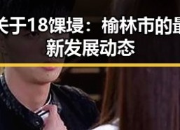 关于18馃埐：榆林市的最新发展动态