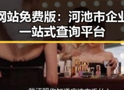 黄页网站免费版：河池市企业资源一站式查询平台