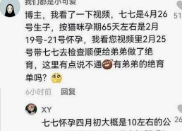 关于看片官方版下载免费版的最新分析
