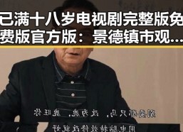 已满十八岁电视剧完整版免费版官方版：景德镇市观众的新选择