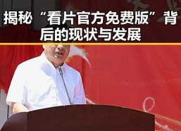 揭秘“看片官方免费版”背后的现状与发展