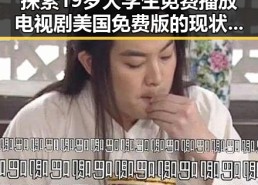 探索19岁大学生免费播放电视剧美国免费版的现状与背后故事
