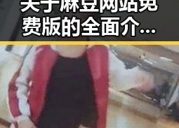 关于麻豆网站免费版的全面介绍与实用指南