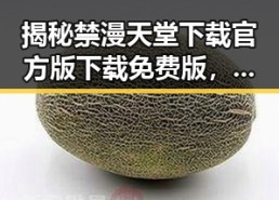 揭秘禁漫天堂下载官方版下载免费版，让你轻松畅享优质资源