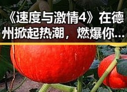 《速度与激情4》在德州掀起热潮，燃爆你的激情时刻