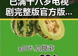 已满十八岁电视剧完整版官方版：最新在线播放指南