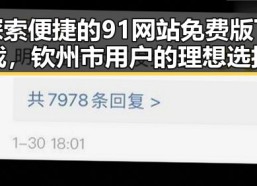 探索便捷的91网站免费版下载，钦州市用户的理想选择