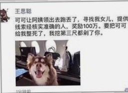 最新高清🈚码🔞❌♋免91免费版现已上线，畅享无限资源