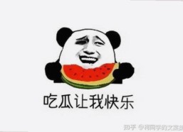 最新攻略：樱花视频安装包下载让你轻松畅享精彩内容