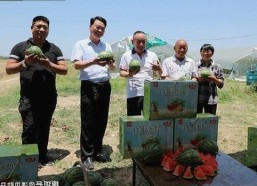 最新动态：小🐔🐔伸进🈲🔞🔞官方版下载引发关注
