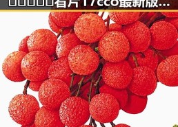 二驴带来最新消息：91禁🍆🍑🔞❌❌❌看片17cco最新版下载引发热议