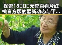 探索18❌❌❌无套直看片红桃官方版的最新动态与平台选择