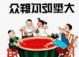 探索动感小站在线官方版：畅享高清娱乐新体验