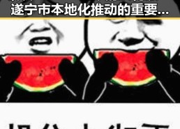 解析17.c25起草的汉化版：遂宁市本地化推动的重要里程碑