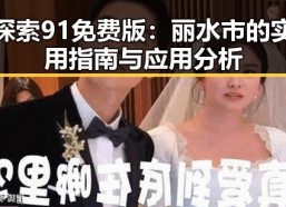 探索91免费版：丽水市的实用指南与应用分析