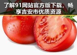 了解91网站官方版下载，畅享吉安市优质资源