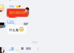 红桃视频安装包下载：最新版本安装指南与安全提示