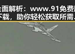 全面解析：www.91免费版下载，助你轻松获取所需资源