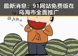 最新消息：91网站免费版在乌海市全面推广