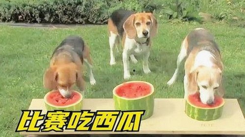 最新动态:91🍆🍑🔞❌❌❌一起草wwwcom17安装包下载引发关注