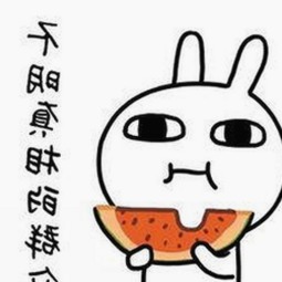 桃花视频安装包下载：宜春市最新资源推荐与安全指南