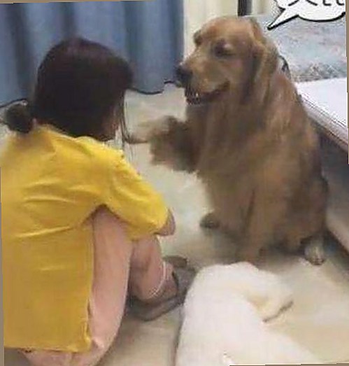 关于日批免费版下载的最新动态与相关资源推荐