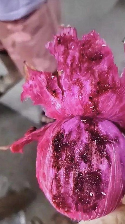 小🐔🐔伸进🈲🔞🔞A安装包下载:最新资源介绍与动态分析