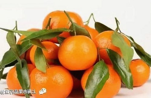 黑料 官网官方版正版下载：了解娱乐圈的真实内幕