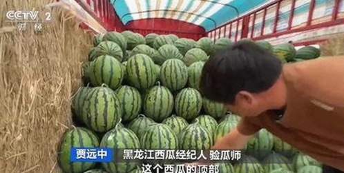 最新动态：维持免费下载9.1版免费下载安装引领行业新趋势