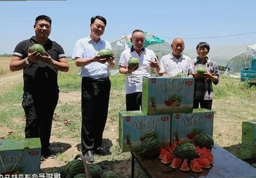 最新动态：小🐔🐔伸进🈲🔞🔞官方版下载引发关注
