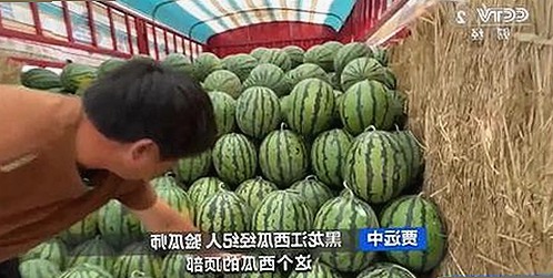免费观看40分钟大片的电视剧免费版下载：轻松追剧的最佳选择