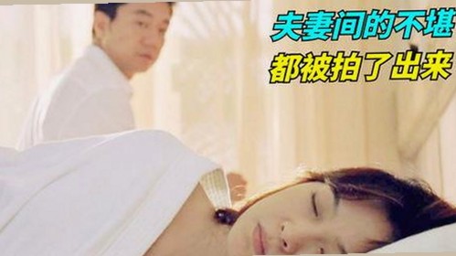 探索91免费2026最新版：最新内容与下载指南分析