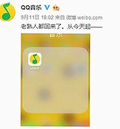 最新黄视频免费版推荐，在线观看体验更流畅