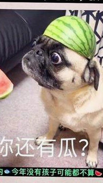 刘宇宁带你畅享《鲁鲁影院电视剧免费观看最新章节免费版下载》
