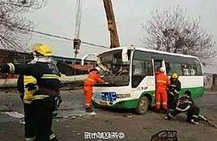 最新动态：啪啪啪视频免费版下载带来的变化与发展