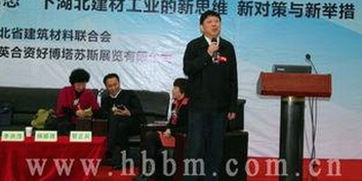 揭秘日批视频官方版：从现状到发展趋势的全面分析