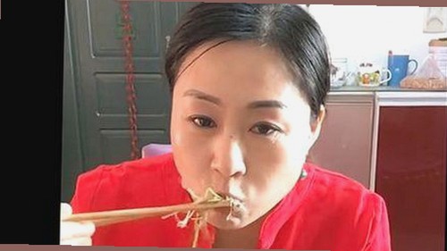 麻豆视频在线播放官方版：最新视频资源与平台指南