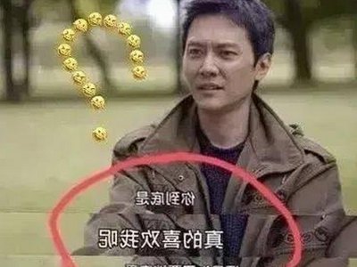 母をたずねて三千里官方版：经典动画再现与最新资源介绍