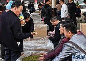 如何获取下载干逼绿色版：最新资源攻略分析