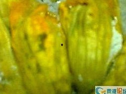 最新上线：丫丫影院免费高清电视剧观看官方版下载，畅享高清剧集