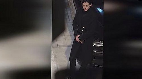 西瓜视频免费官方版正版下载带你了解最新娱乐资源与现状