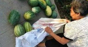 A片官方版免费版：最新资源下载与安全性分析
