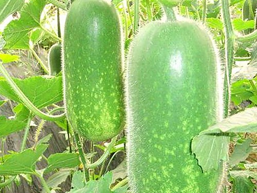 已满十八在线观看高清电视剧推荐免费版：最新精彩内容解析