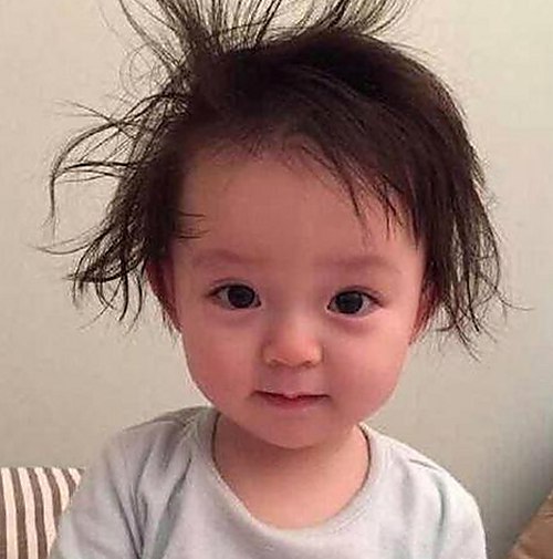 含羞草黄免费版下载：探索多样的视频资源与安全选择