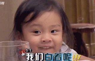 麻豆视频在线观看官方版下载：探索高清内容的便捷途径