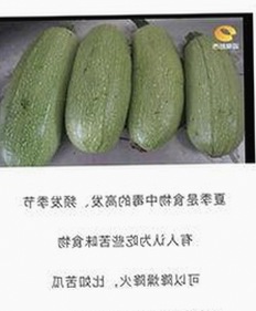 武威市用户热议：免费91官方版带来全新体验