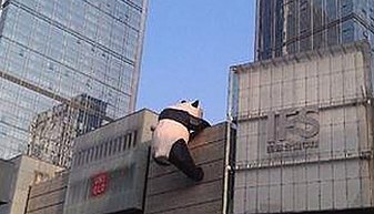 日照市解析：免费黄色免费官方版的现状与发展趋势
