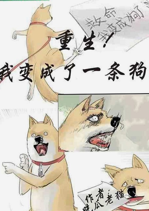 免费观看45分钟高清电视动漫：体验最新动画的变化与挑战